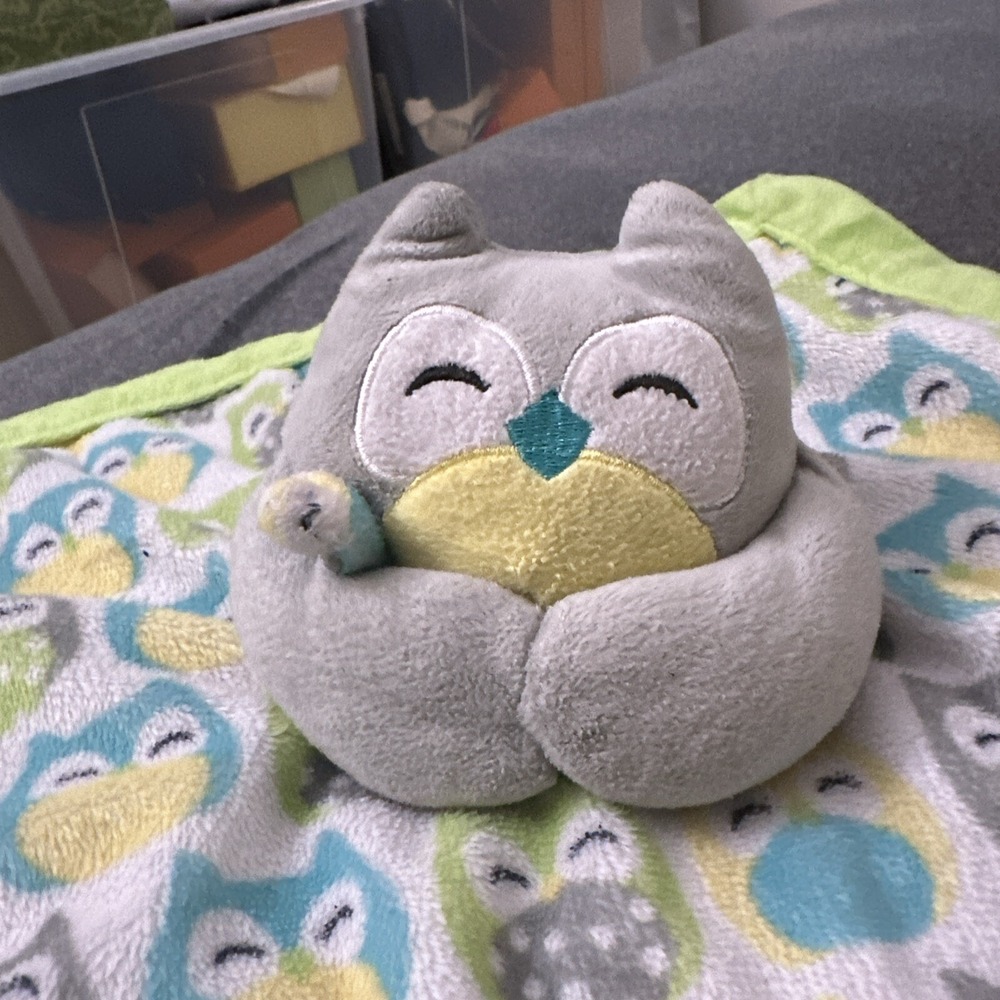 Carters Owl Baby Security Blanket Lovey Plush Stuffed Velour Green Gray Teal - Picture 2 of 7